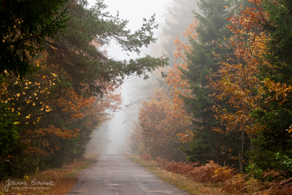 045_Biebrza - pazdziernik 2013.jpg
